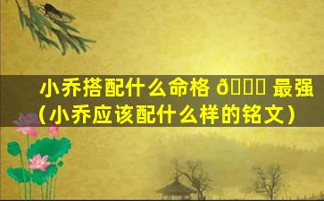 小乔搭配什么命格 🐝 最强（小乔应该配什么样的铭文）